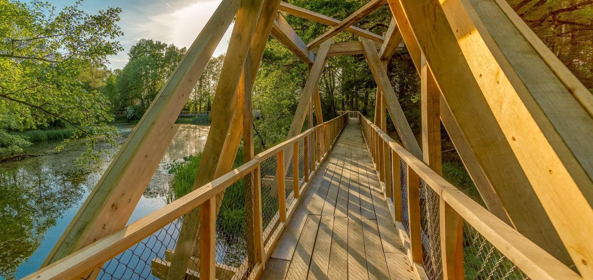 Šetnja pod krošnjama Medjama